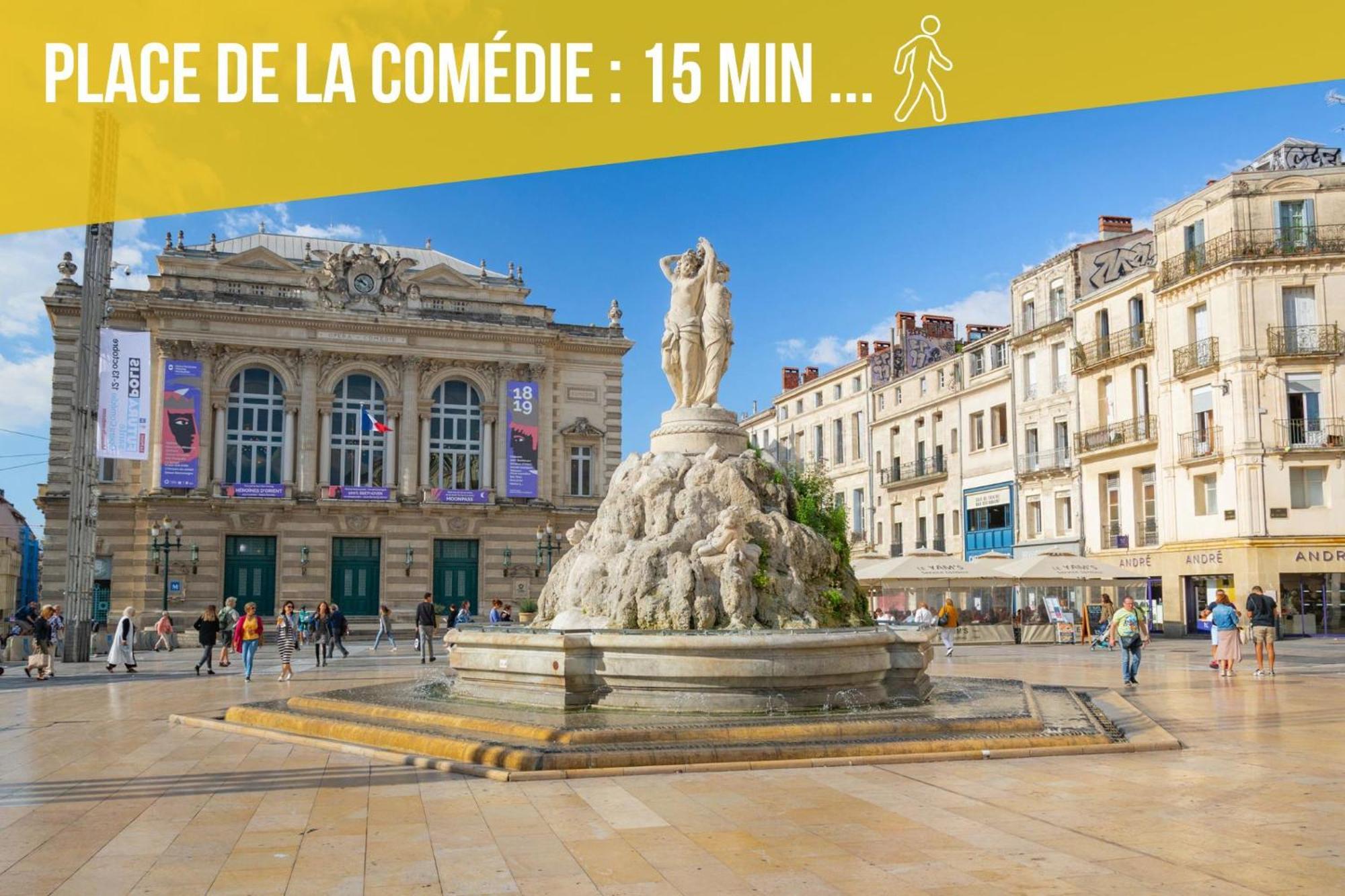 Amja Proche Clinique Saint-Roch Apt 3 Chambres 3 Salles De Bain Parking Gratuit Ideal Famille Groupe Coworking 10 Min Centre Ville 10 Min Plage 5 Min Sortie Autoroute Монпелье Экстерьер фото